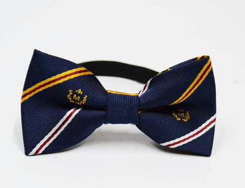 Scholar - Classic Stripe Bow Tie for Children